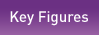 The SMS key figures