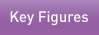 The SMS key figures
